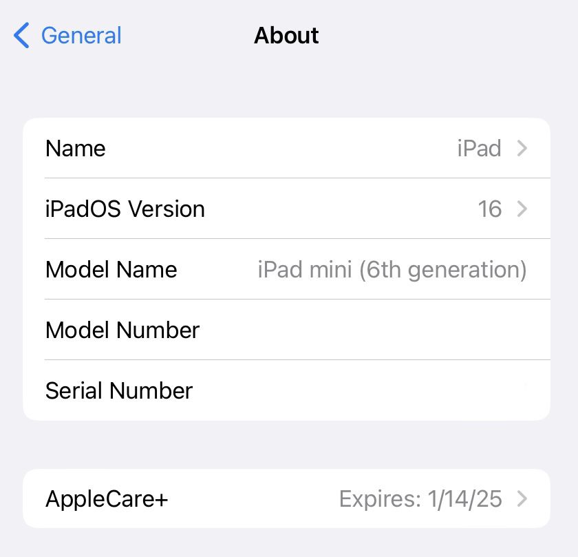 Apple iPad Mini 6th Generation - 256GB