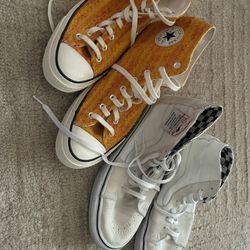 Converse Ans Vans Skater Shoe
