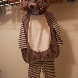 6/12 Month Hedgehog Halloween Costume 