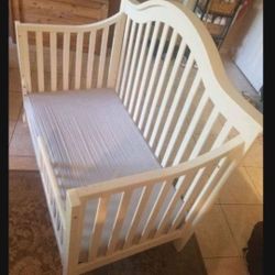 Newton Baby Mattress +crib (Bonus)