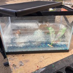 Small Fish Tank 