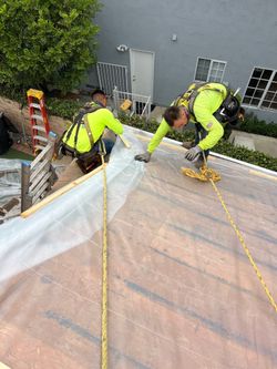 February Protection Plan | Residential Roof Repair Options