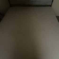 Queen Bed W/LED lights 