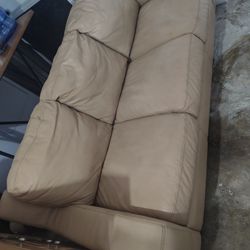 Rea Leather Pull out Bed Couch