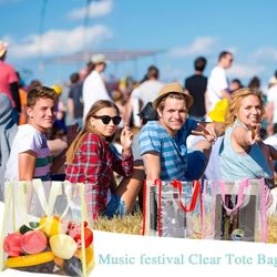 Saintrygo 20 Pack Clear Tote Bags Bulk 12 x 12 x 6 PVC Plastic Tote Bag with Handles for Stadium Work Beach Sports(Classic Col