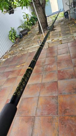 Custom casting 9.5 ft Rod