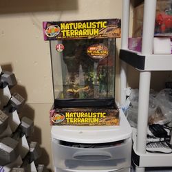 Zoomed Naturalistic Terrarium