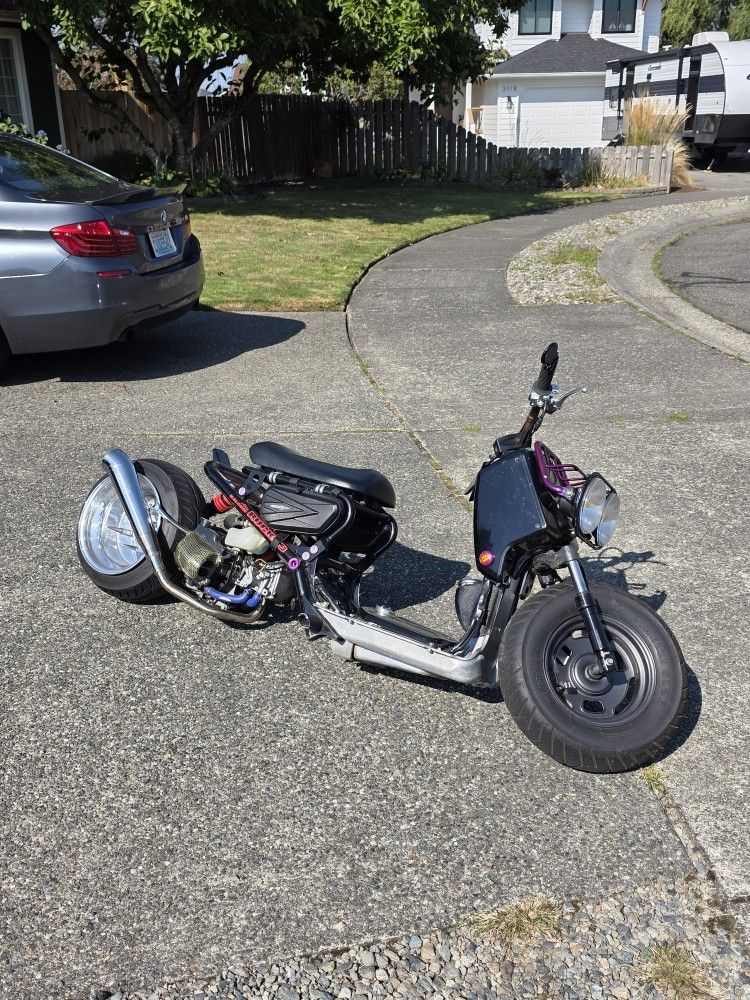 2003 Honda Ruckus
