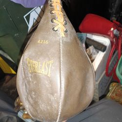 EverLast vintage speed bag