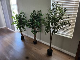Decor Trees