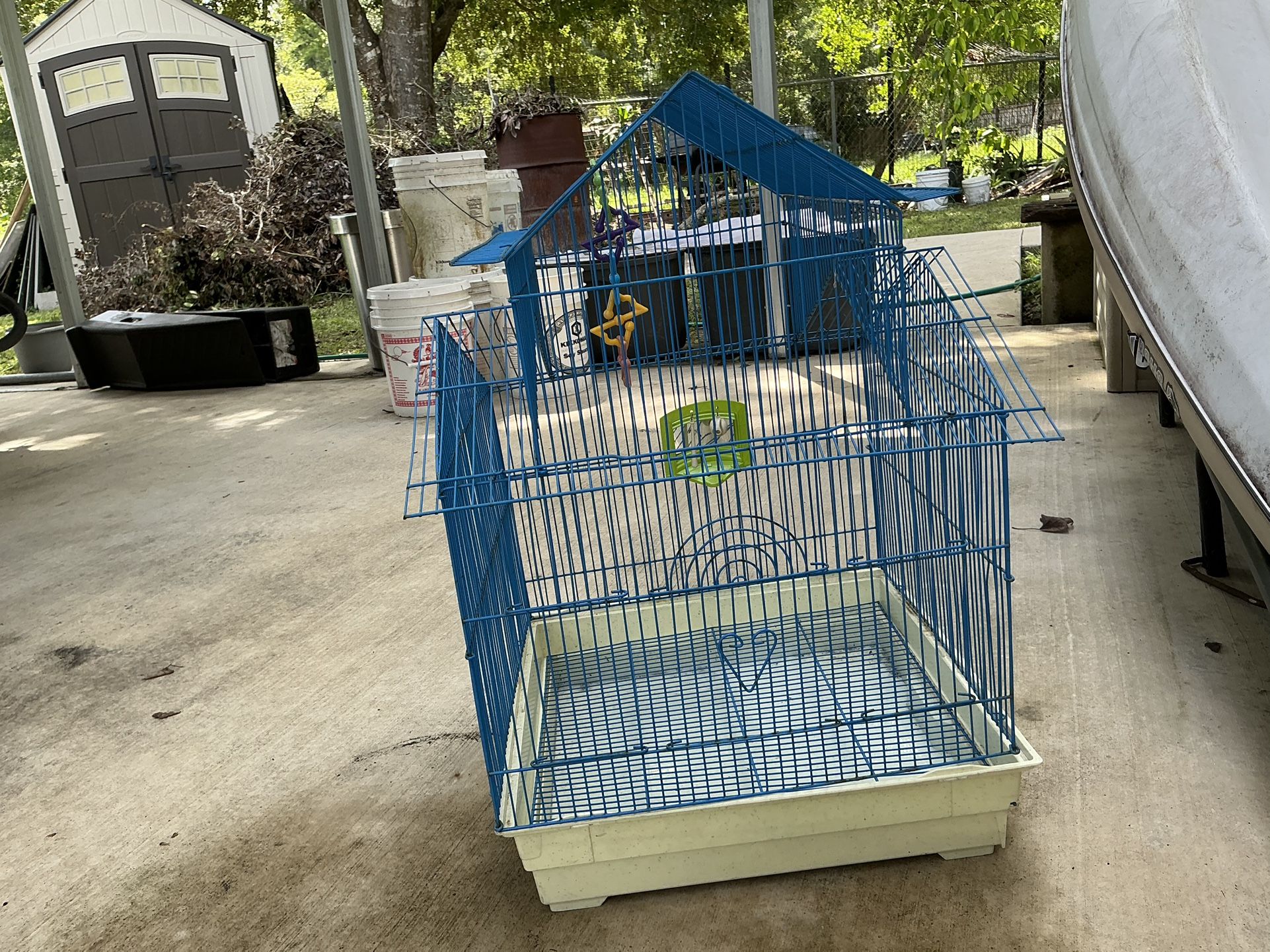 Bird Cage