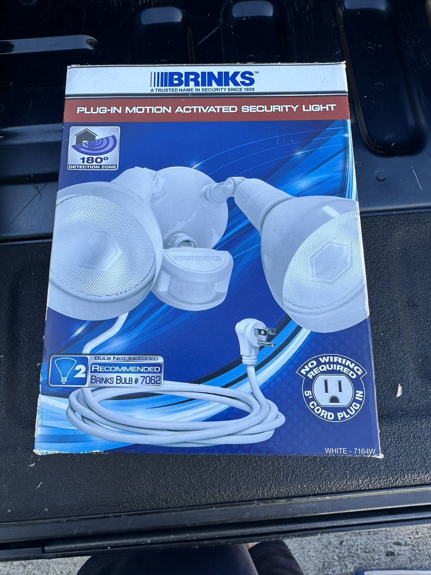 Brinks Security Flood Light