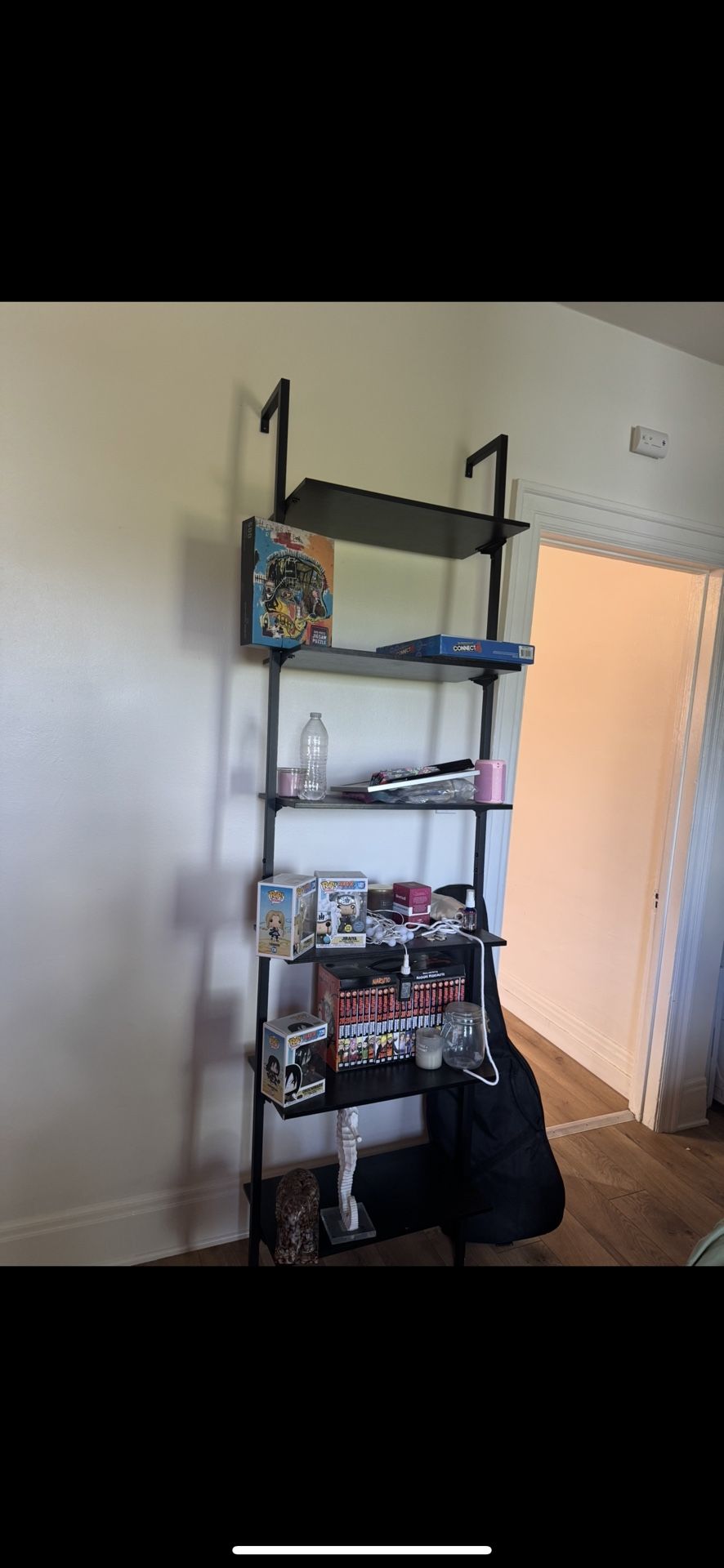 Leaning Ladder Shelf
