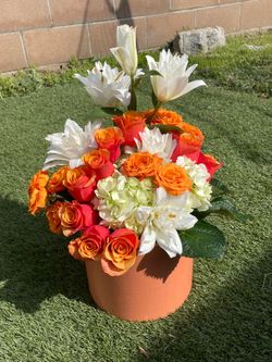 Mother’s Day gift