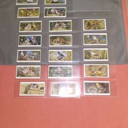 Vtg Players Cigarette Cards