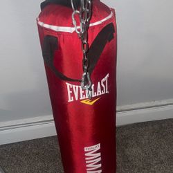Punching Bag 