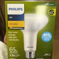 Bulk Light Bulbs 