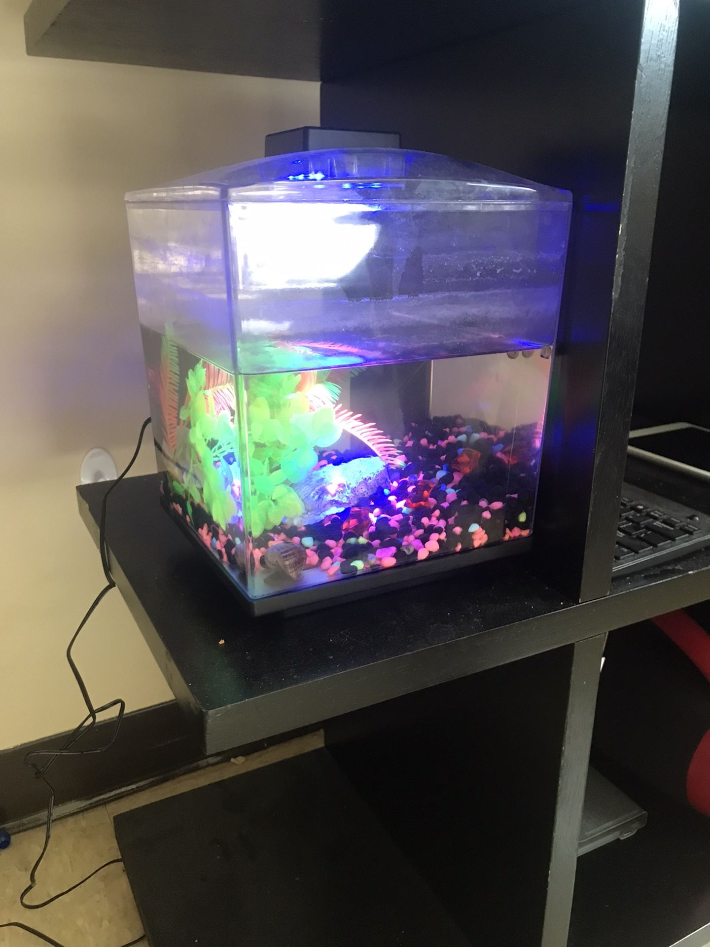 cube Aquarium Tanks (read Description)