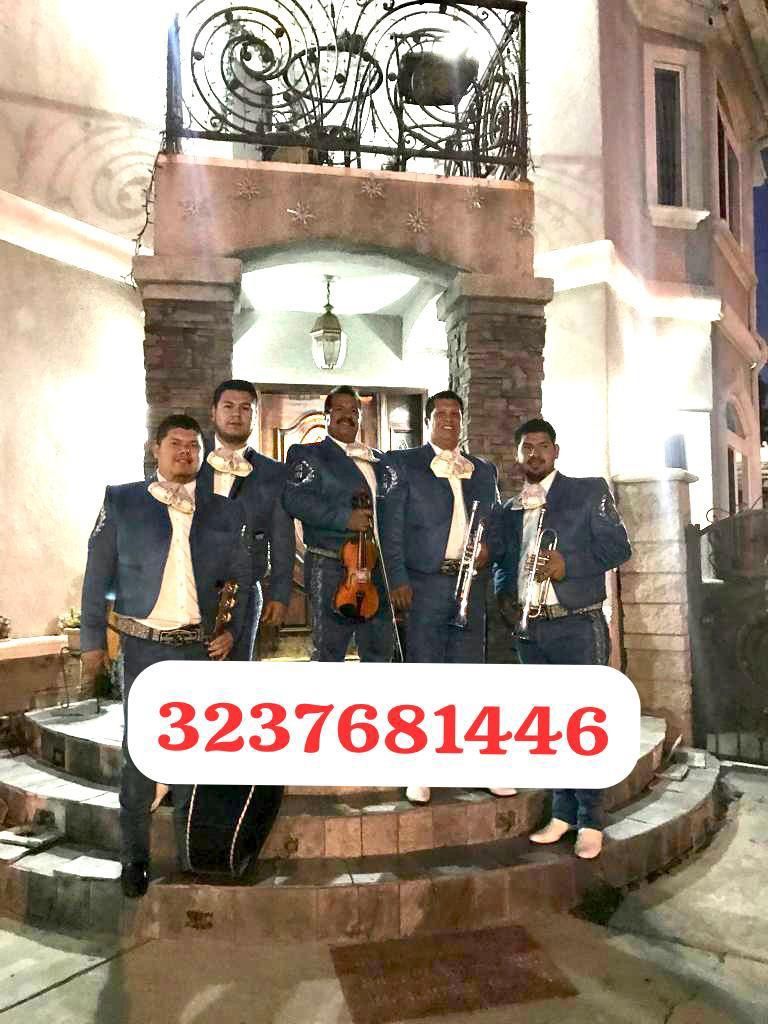Trumpet Violín Mariachi
