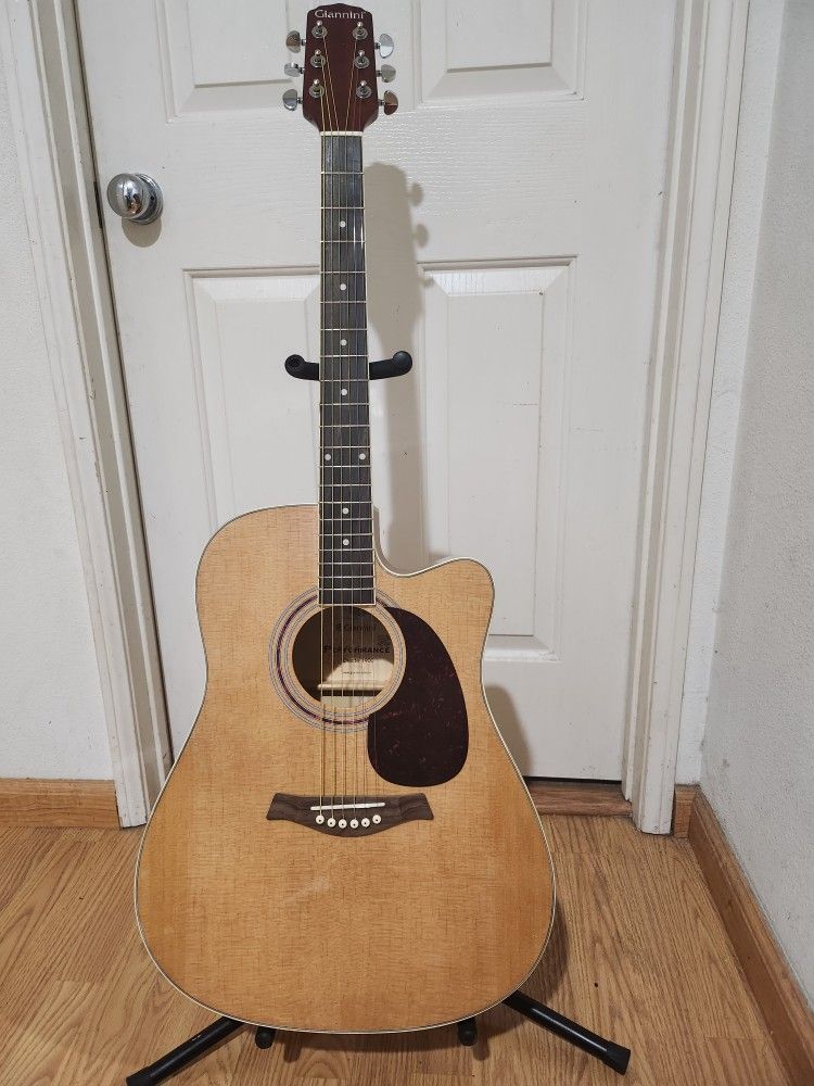 Giannini Acoustic Electric