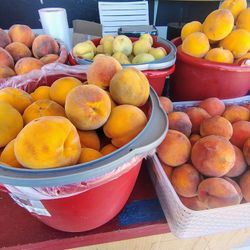 Organic Peach's And Apricots For Sale 