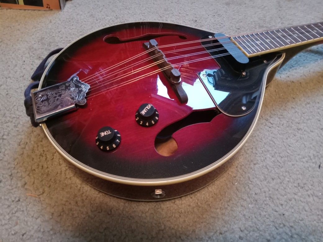 Acoustic/Electric Mandolin for Sale in Port Orchard, WA OfferUp