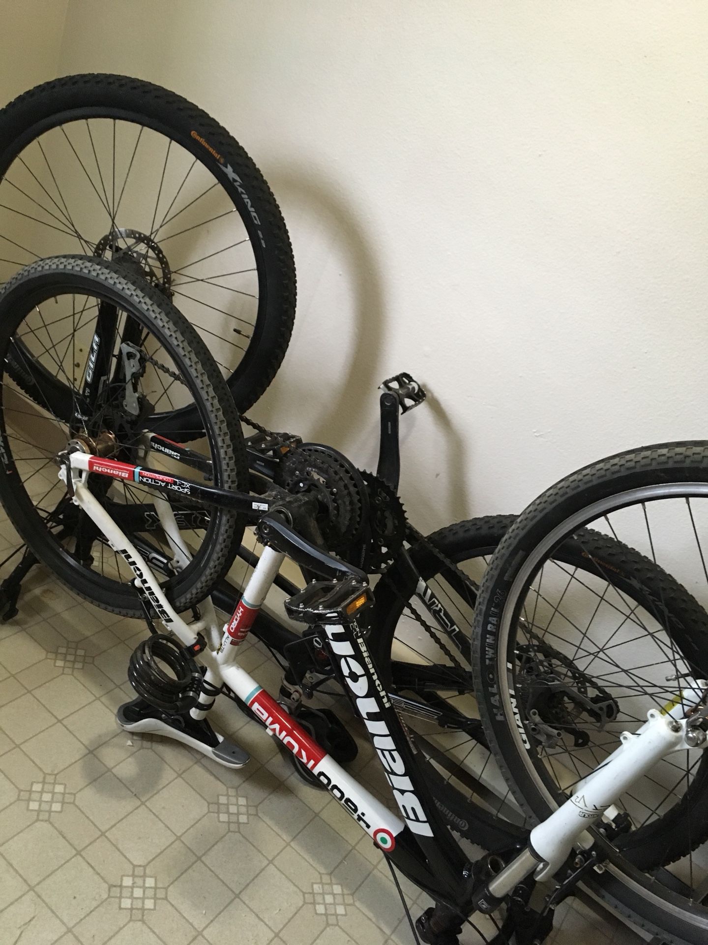 Trek, and bianchi mountain bikes