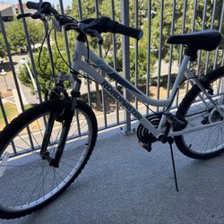 Roadmaster Bike