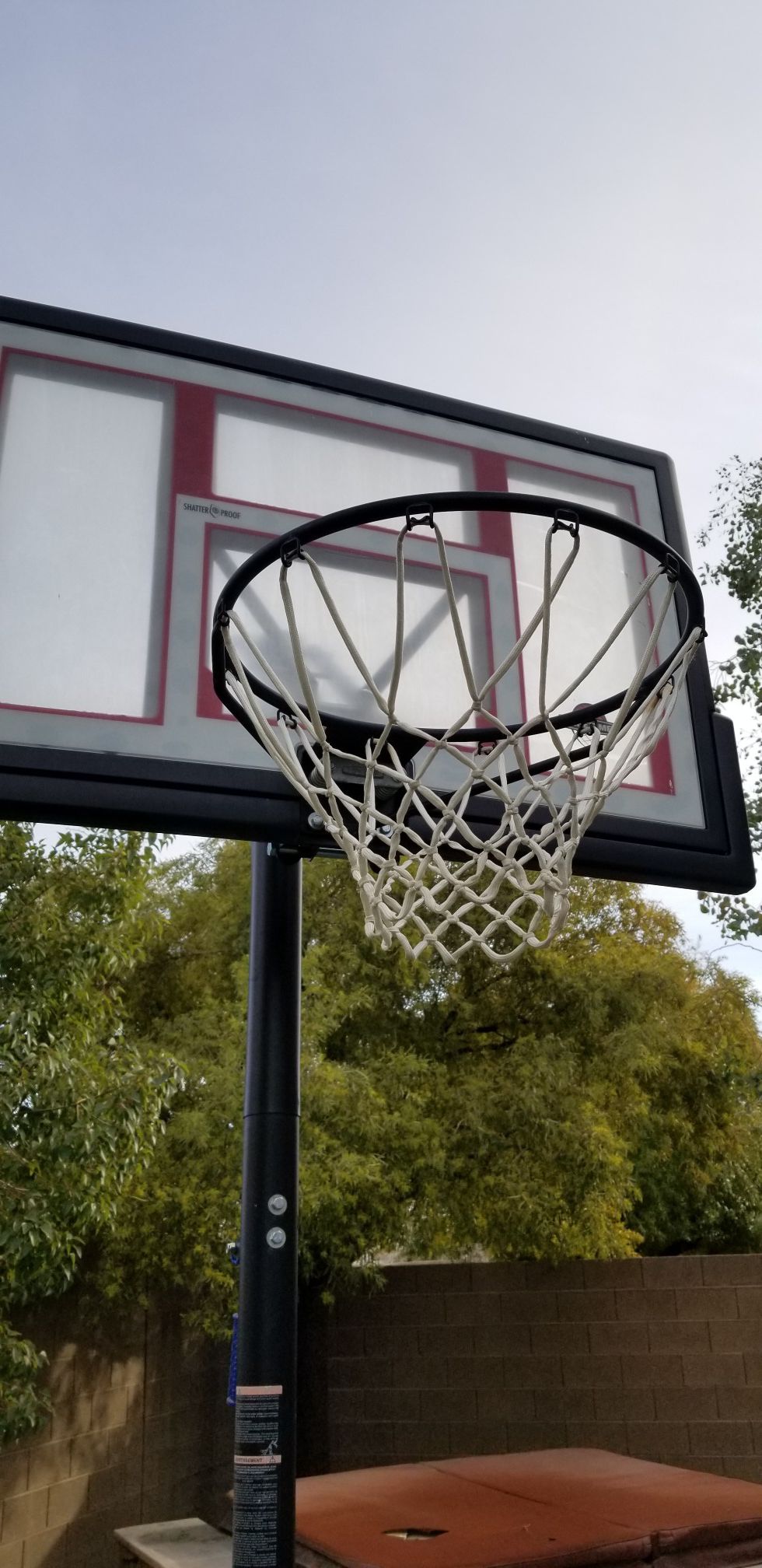 Lifetime basketball portable hoop