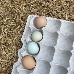 Organic Easter Basket Tray Multicolor Fresh Natural Brown Blue Green Pink