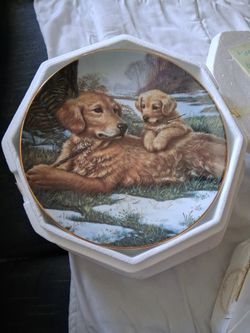 Hamilton Collection Collectable Plate - A Sporting Generation