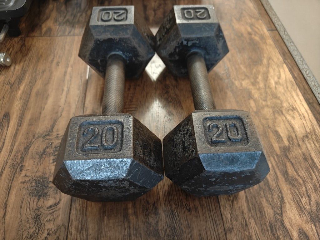 Two 20 lb Dumbbells