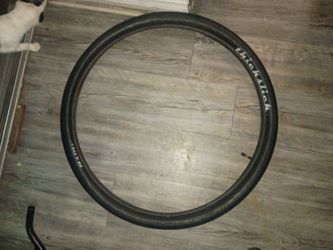 Thickslick 29' goon tire