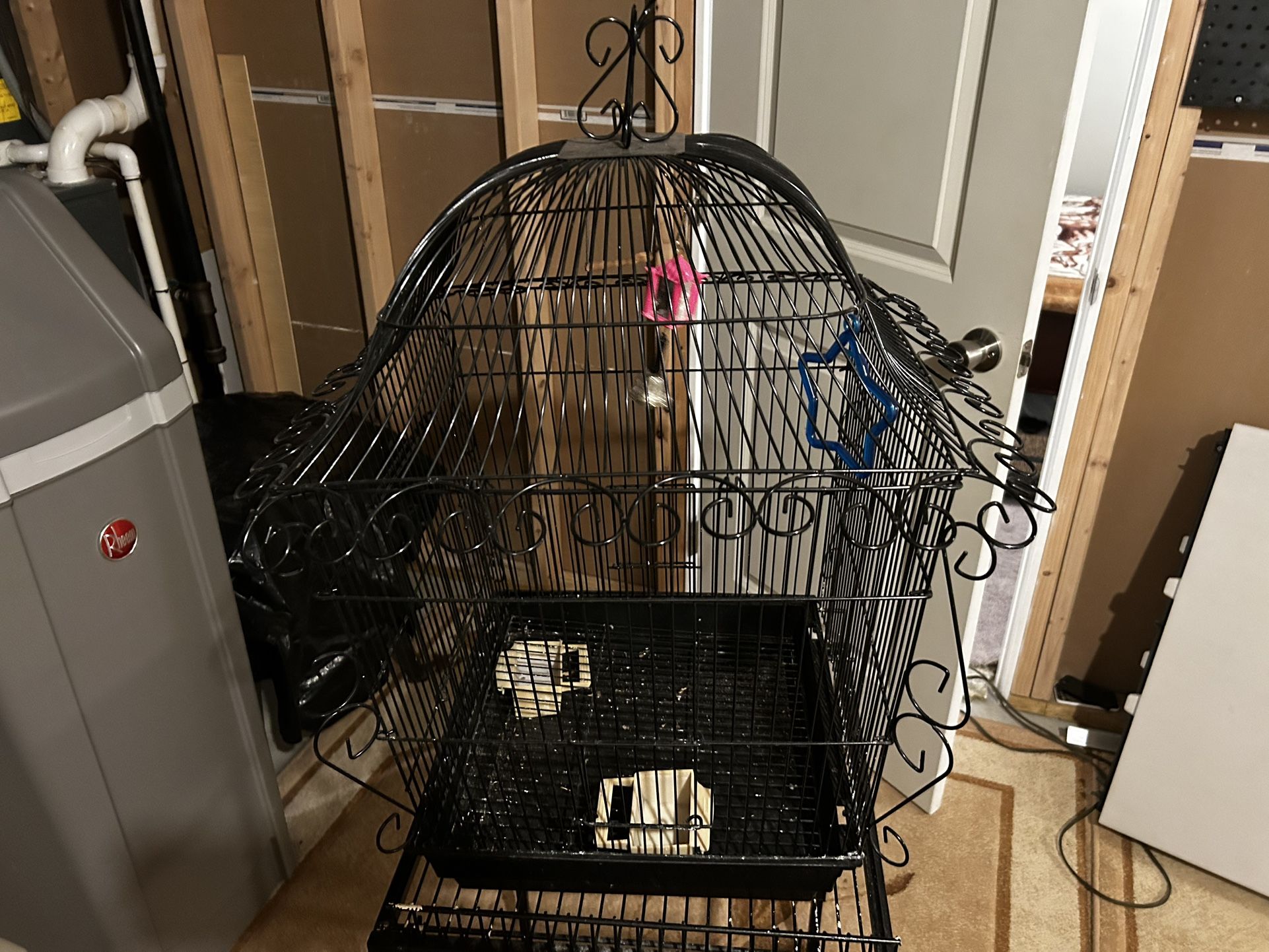 Bird Cage