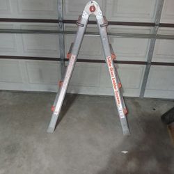 Little Giant Ladder System