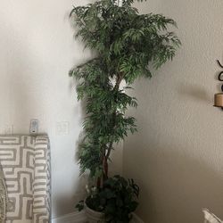 Artificial Plant 7” Tall