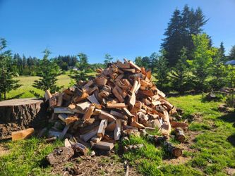 Fir Firewood