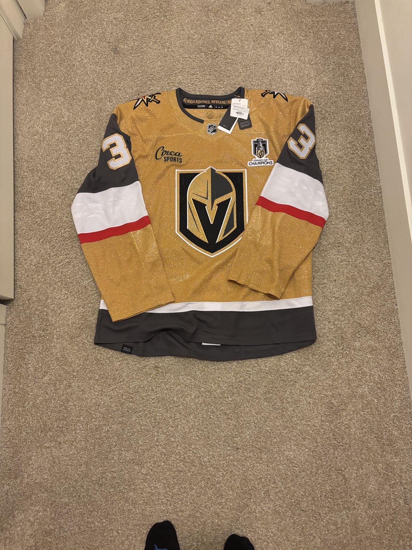 Las Vegas knights 2023 Stanley cup Champions Jersey Hill