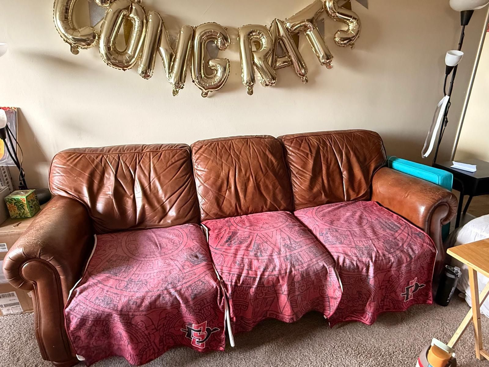 Leather Sofa