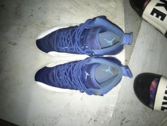 Jordan 12 indigo size 12