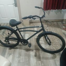 Schwinn 7 Speed