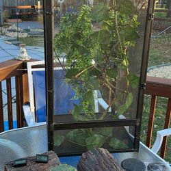 Zoo Med  ReptiBreeze W/ Waterfall ,Vines , Heat Light, Thermostat, Food Tray & Supplies