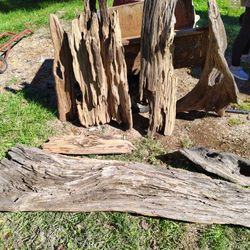 Old Drift Wood