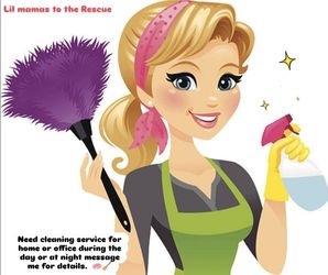 Lil Mamas Cleaners