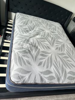 Queen Mattress