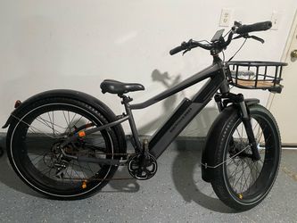 Rad power e bike