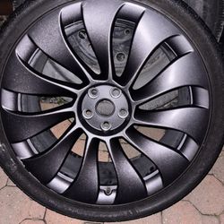 Tesla Rim