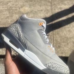 Air Jordan “Cool Grey” 3s 