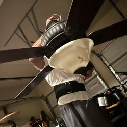 Ceiling Fan 