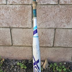 LOUISVILLE SLUGGER Xeno Plus Softball BAT 34 in, 24 oz, 2.25 in, -10, WTLFPXN170